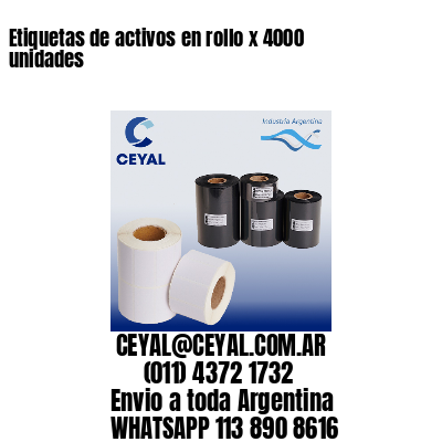 Etiquetas de activos en rollo x 4000 unidades