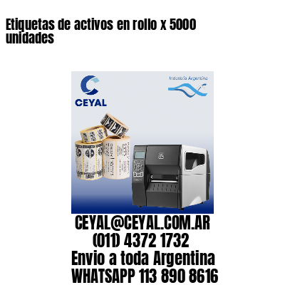 Etiquetas de activos en rollo x 5000 unidades