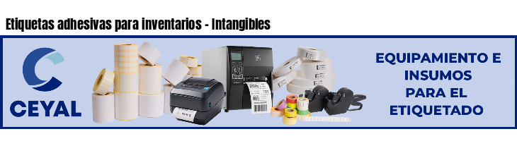 Etiquetas adhesivas para inventarios - Intangibles