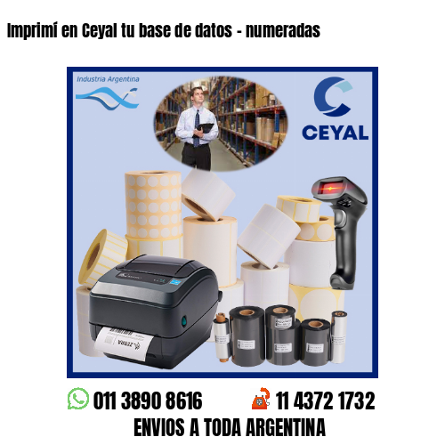 Imprimí en Ceyal tu base de datos – numeradas