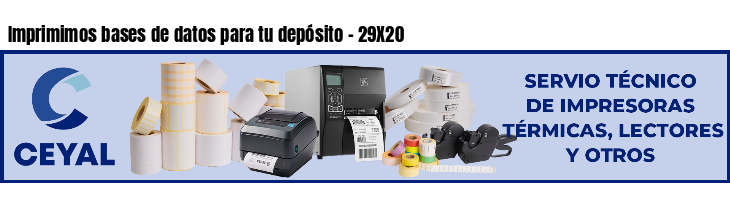 Imprimimos bases de datos para tu depósito - 29X20