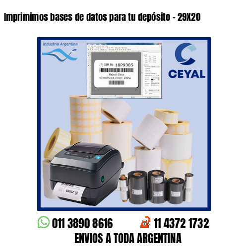 Imprimimos bases de datos para tu depósito – 29X20