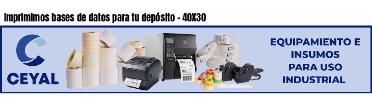 Imprimimos bases de datos para tu depósito - 40X30