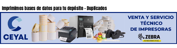 Imprimimos bases de datos para tu depósito - Duplicados