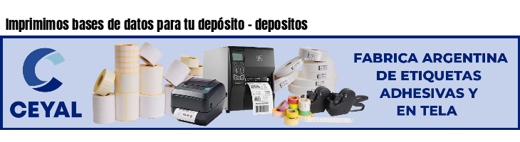 Imprimimos bases de datos para tu depósito - depositos