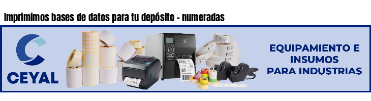 Imprimimos bases de datos para tu depósito - numeradas