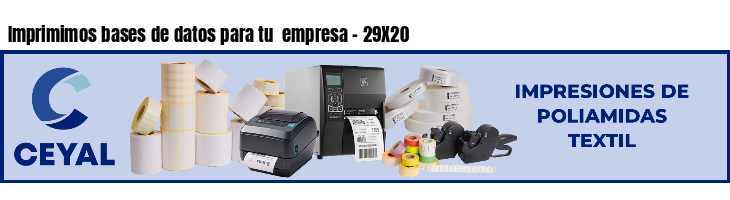 Imprimimos bases de datos para tu  empresa - 29X20