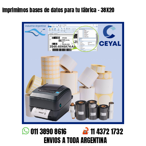 Imprimimos bases de datos para tu fábrica – 38X20