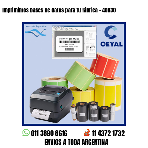 Imprimimos bases de datos para tu fábrica – 40X30