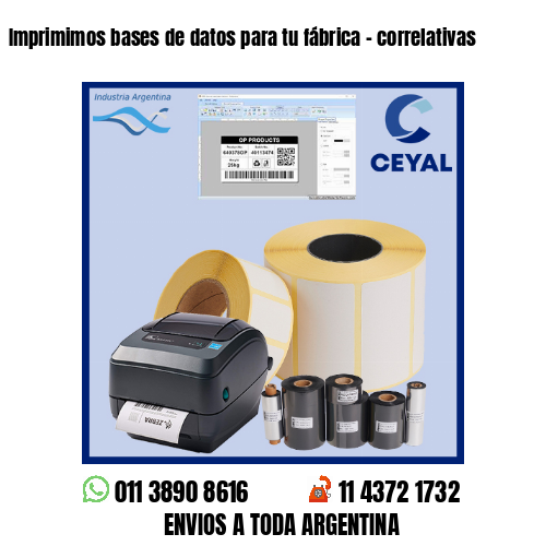 Imprimimos bases de datos para tu fábrica – correlativas