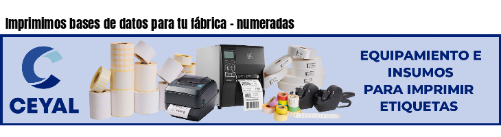 Imprimimos bases de datos para tu fábrica - numeradas