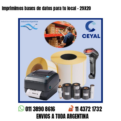 Imprimimos bases de datos para tu local – 29X20