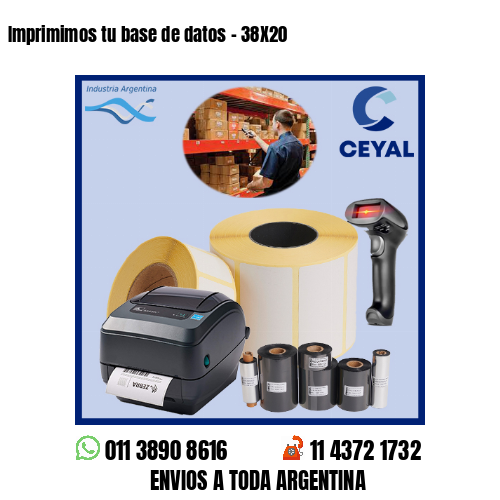 Imprimimos tu base de datos – 38X20