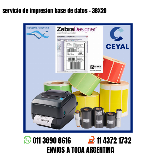 servicio de impresion base de datos – 38X20