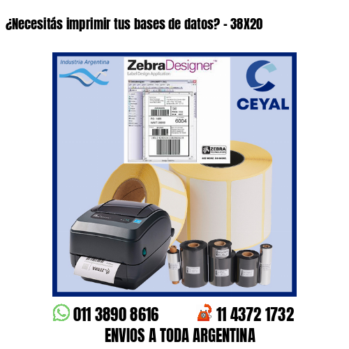 ¿Necesitás imprimir tus bases de datos? – 38X20