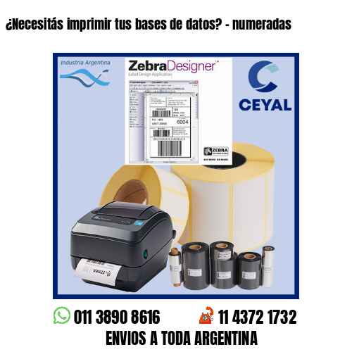 ¿Necesitás imprimir tus bases de datos? – numeradas