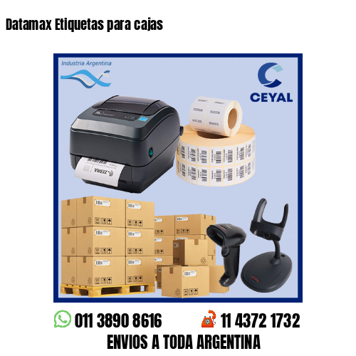 Datamax Etiquetas para cajas