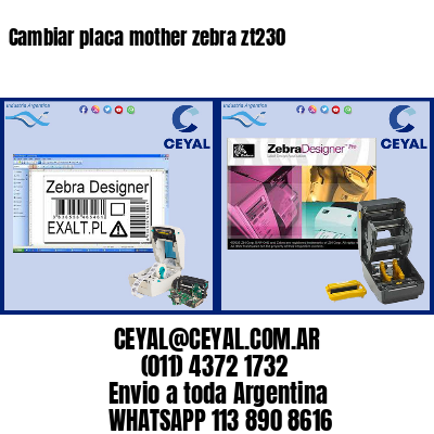 Cambiar placa mother zebra zt230