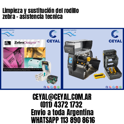 Limpieza y sustitución del rodillo zebra – asistencia tecnica