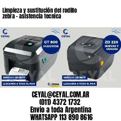Limpieza y sustitución del rodillo zebra - asistencia tecnica