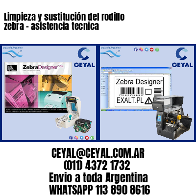 Limpieza y sustitución del rodillo zebra – asistencia tecnica