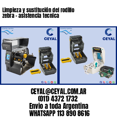 Limpieza y sustitución del rodillo zebra – asistencia tecnica