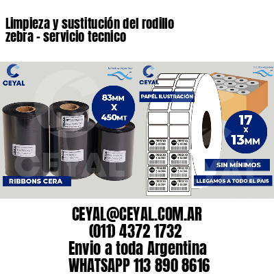 Limpieza y sustitución del rodillo zebra - servicio tecnico