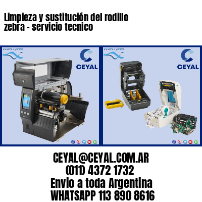 Limpieza y sustitución del rodillo zebra – servicio tecnico