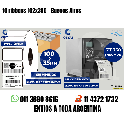 10 ribbons 102x300 - Buenos Aires