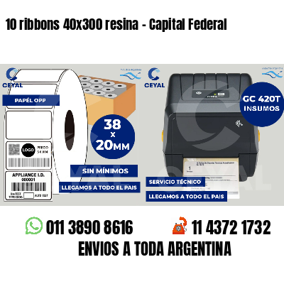 10 ribbons 40x300 resina - Capital Federal