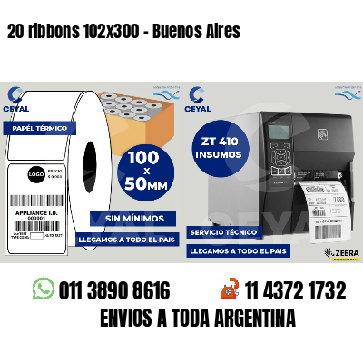20 ribbons 102x300 - Buenos Aires