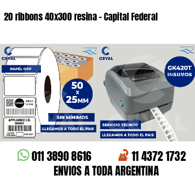20 ribbons 40x300 resina - Capital Federal