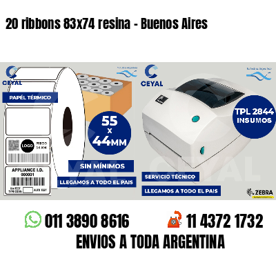 20 ribbons 83x74 resina - Buenos Aires