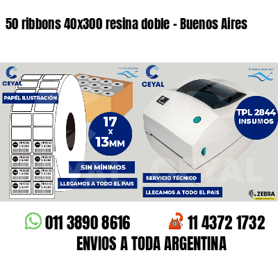 50 ribbons 40x300 resina doble - Buenos Aires