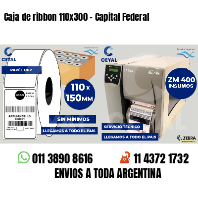Caja de ribbon 110x300 - Capital Federal