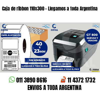 Caja de ribbon 110x300 - Llegamos a toda Argentina