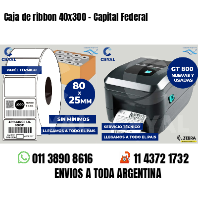 Caja de ribbon 40x300 - Capital Federal