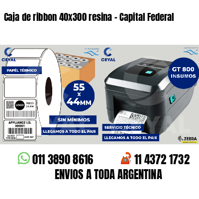 Caja de ribbon 40x300 resina - Capital Federal