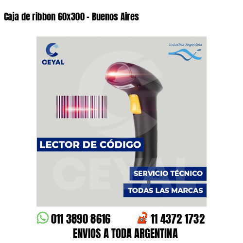 Caja de ribbon 60x300 - Buenos Aires