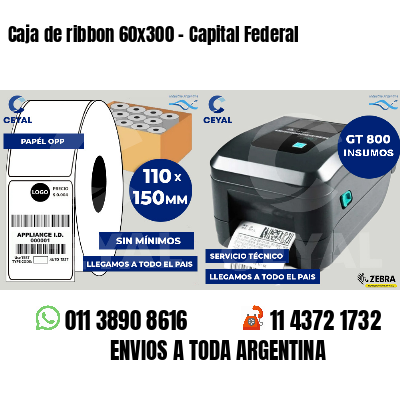 Caja de ribbon 60x300 - Capital Federal
