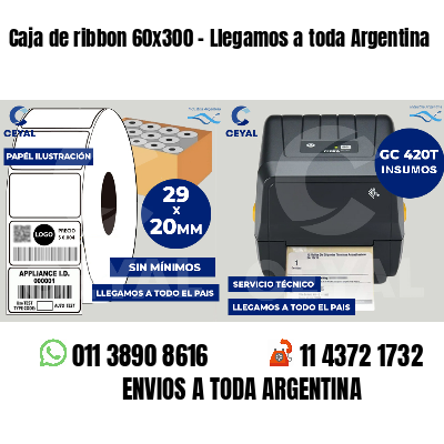 Caja de ribbon 60x300 - Llegamos a toda Argentina