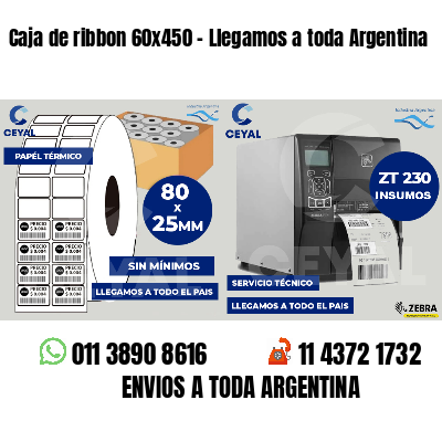 Caja de ribbon 60x450 - Llegamos a toda Argentina