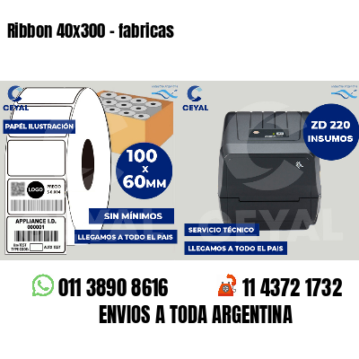 Ribbon 40x300 - fabricas