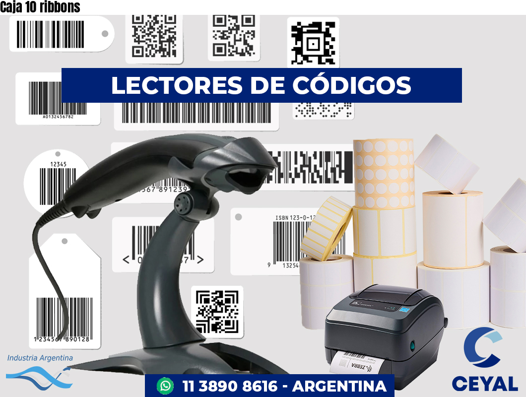 Caja 10 ribbons