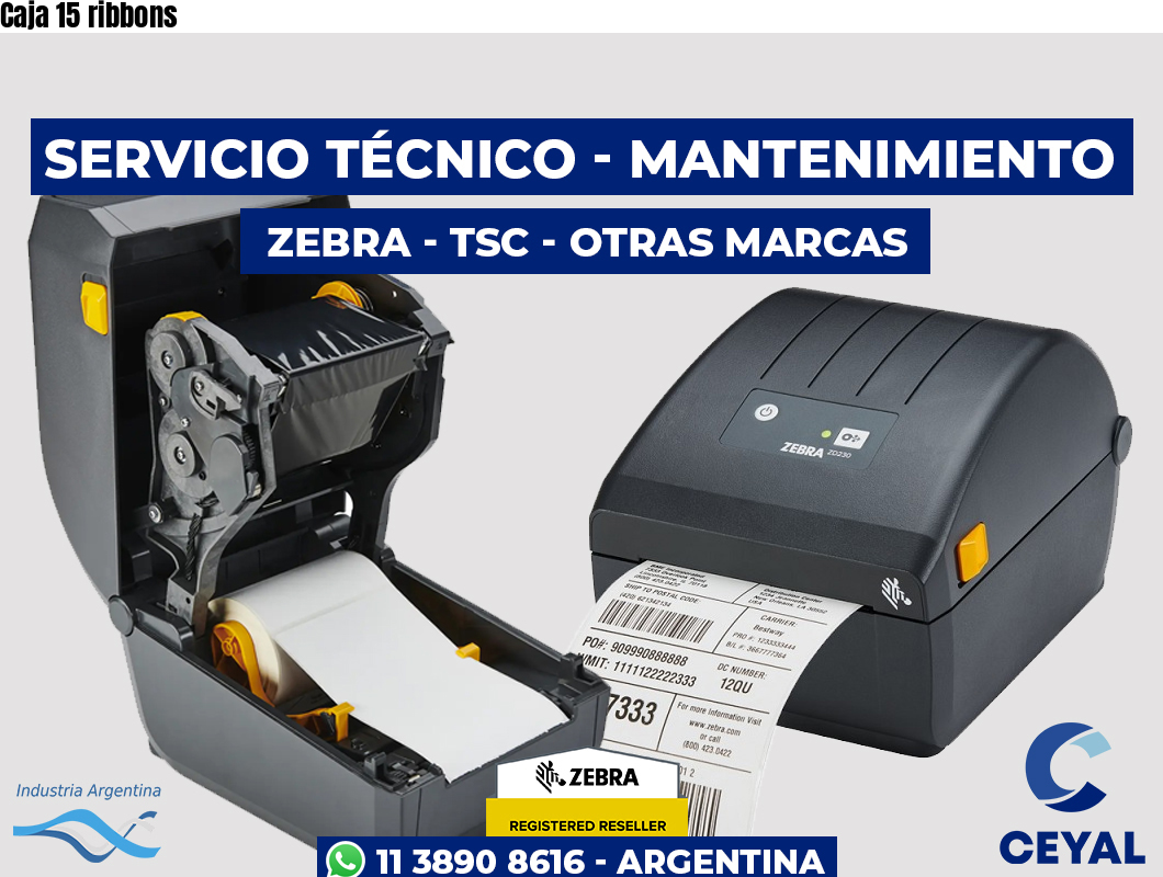 Caja 15 ribbons