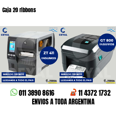 Caja 20 ribbons