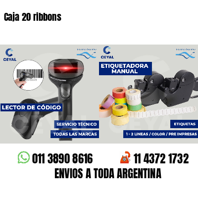 Caja 20 ribbons
