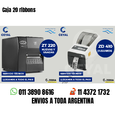 Caja 20 ribbons