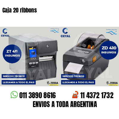 Caja 20 ribbons