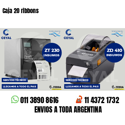 Caja 20 ribbons